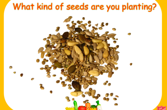 Sowing Seeds Presentation