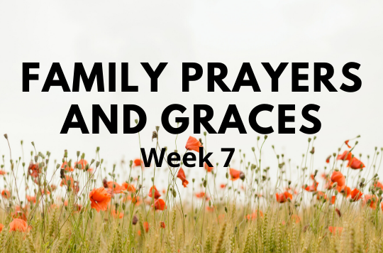 Week 7 of Prayers and Graces
