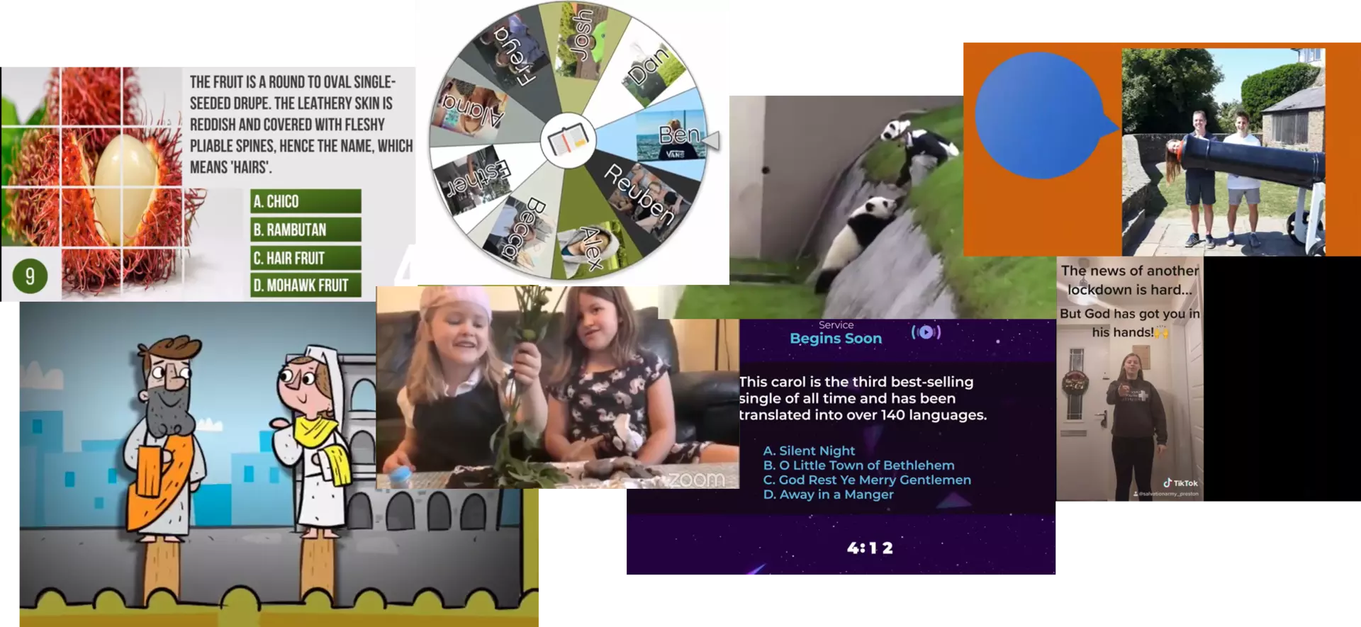 collage of video stills