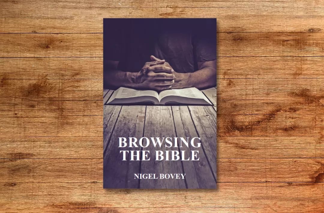Browsing the Bible cover