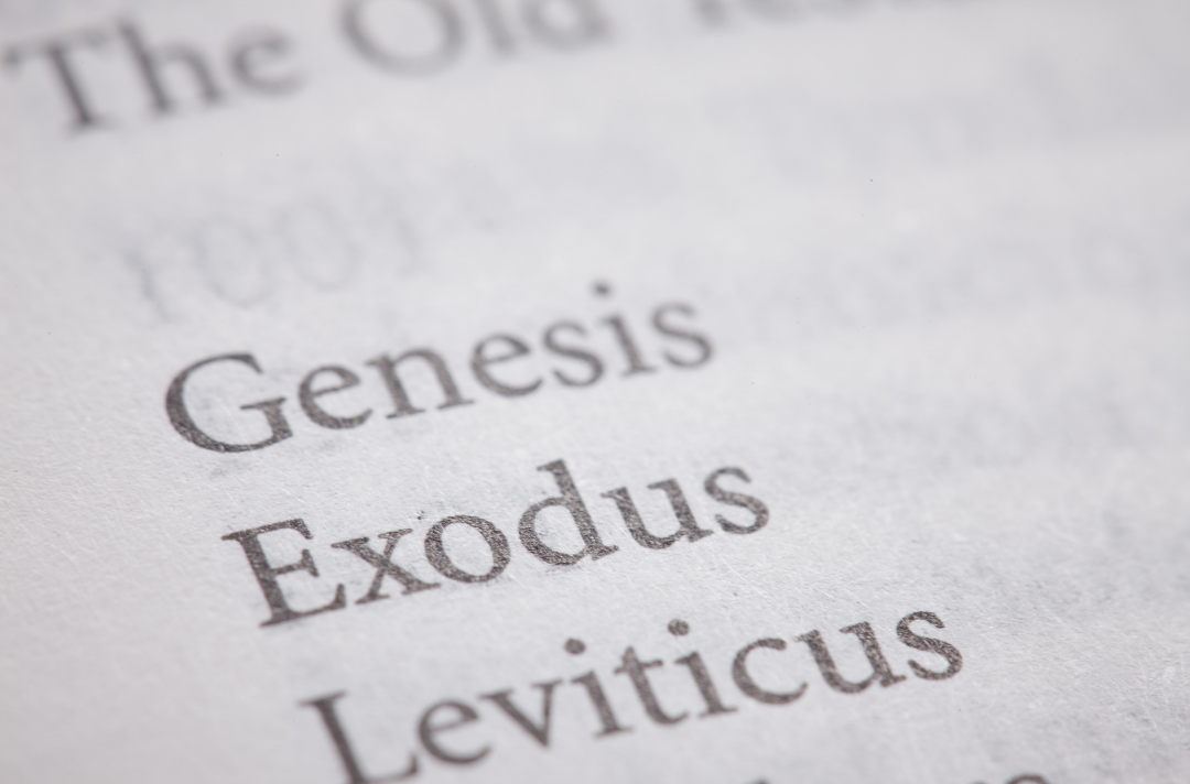 A list of books from the Old Testament: Genesis, Exodus, Leviticus etc.