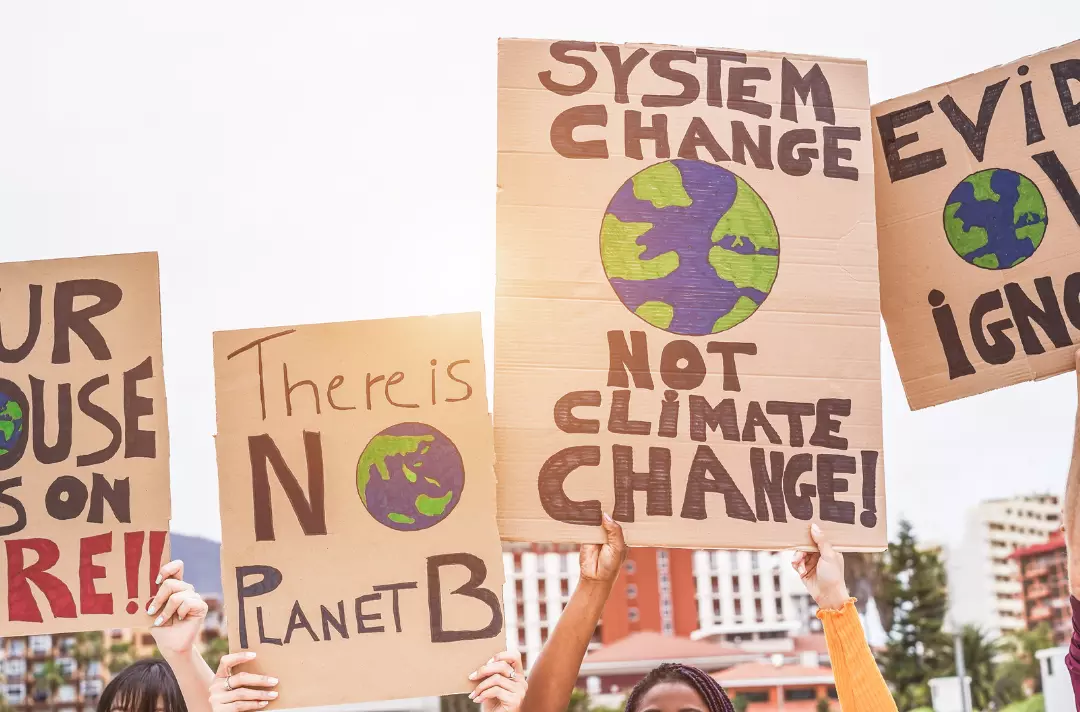 A stock image of climate change protestors holding homemade placards. They read: 'There is no planet B' and 'system change, not climate change!'