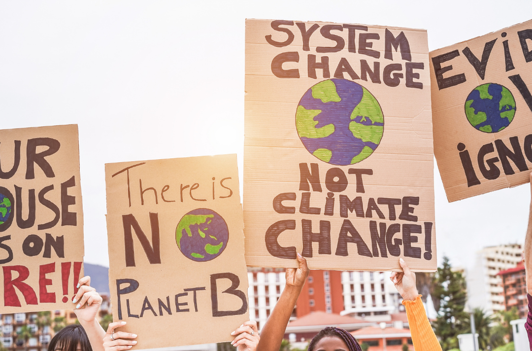 A stock image of climate change protestors holding homemade placards. They read: 'There is no planet B' and 'system change, not climate change!'