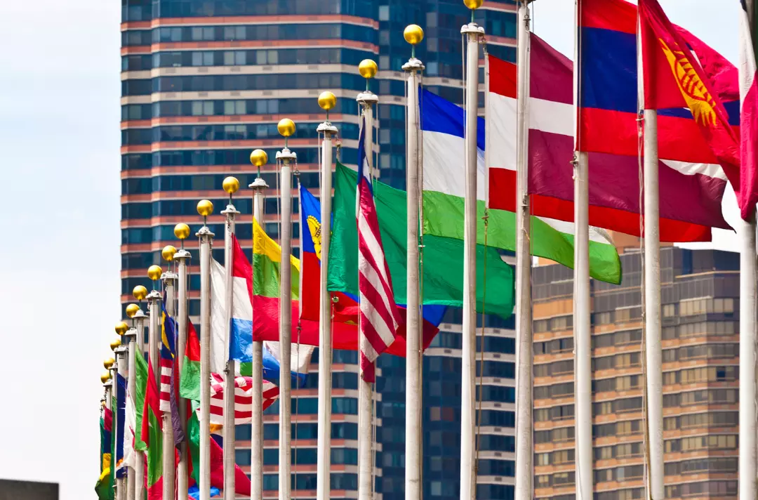 UN flags