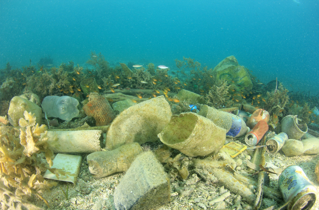 Plastic and rubbish at the bottom of the ocean