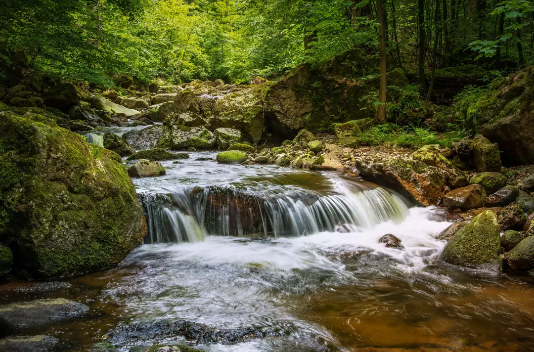 A river flowing over rocks