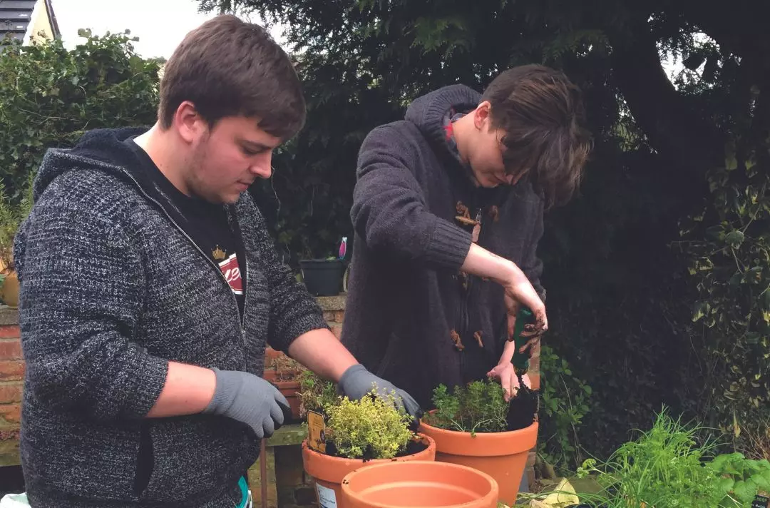 Two people potting plants outside