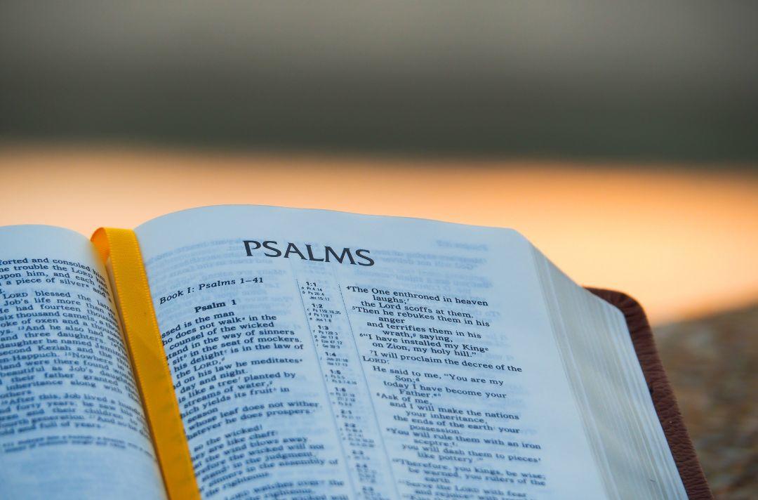 A photo of the Bible open at the book of Psalms
