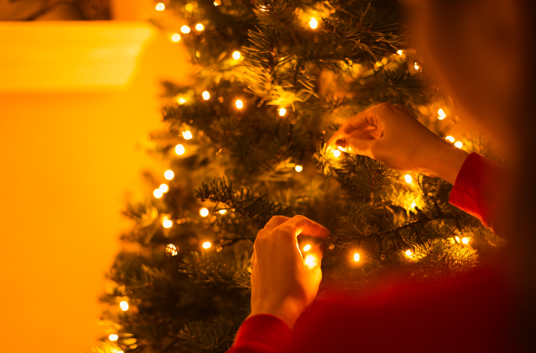 Photo shows someone arranging lights on a Christmas tree
