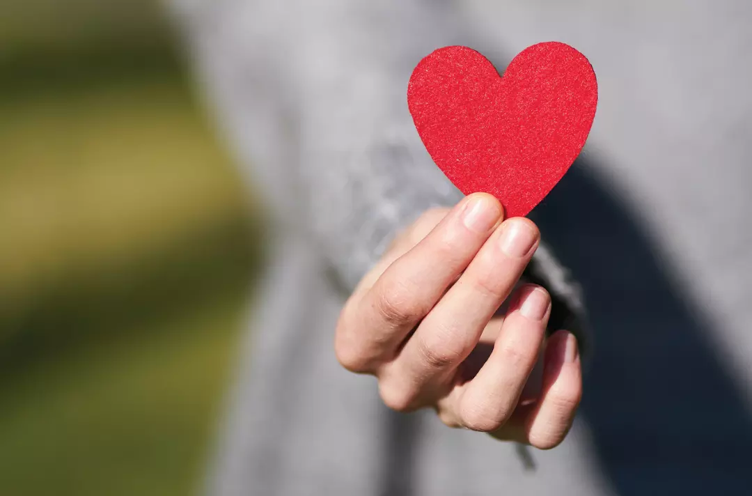 Photo shows someone holding a paper heart