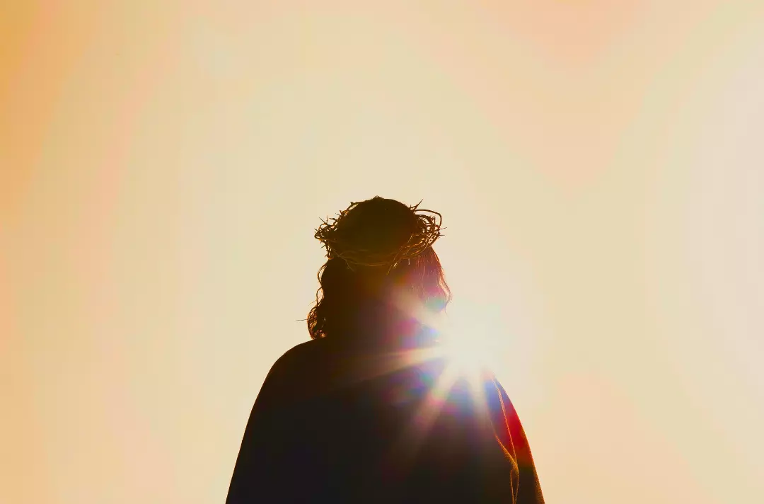 Photo shows Jesus from behind wearing a crown of thorns.
