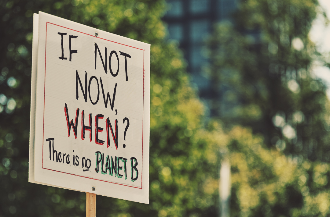 Photo shows a colourful placard with the words 'If not now, when? There is no planet B.'