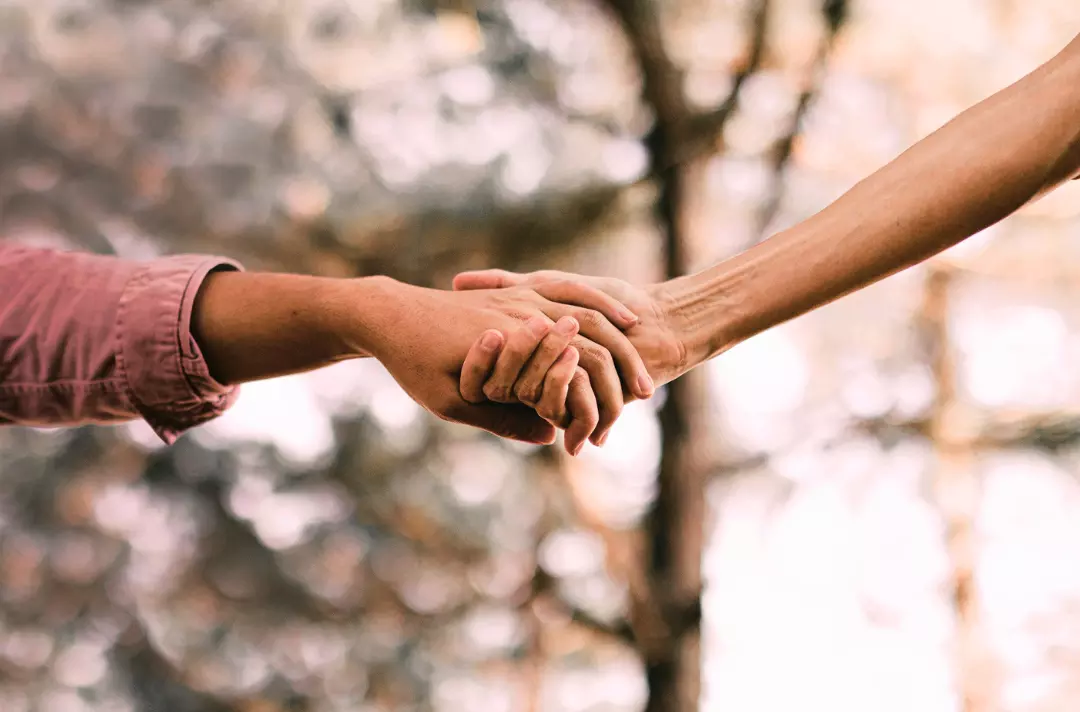 Photo shows two hands reaching out and holding on to each other.