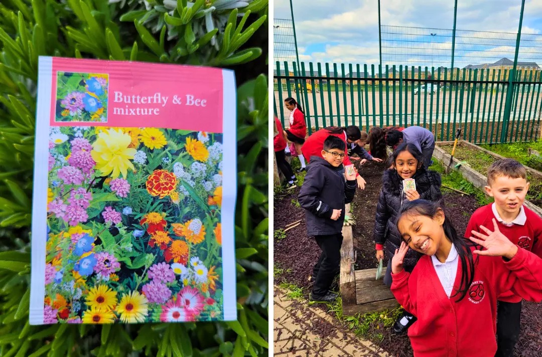 Photo shows a pack of seeds and children posing for a photo at an allotment.