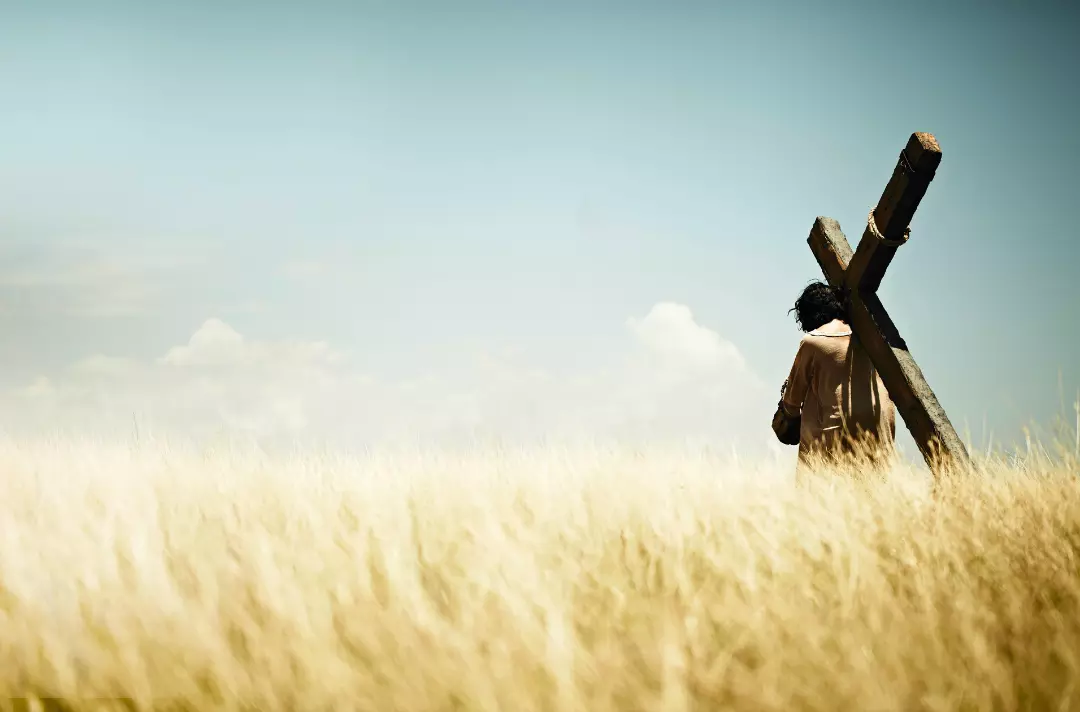 Photo shows someone carrying a cross through a field.