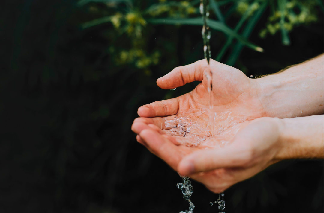 Photo shows cupped hands as they catch a trickle of water in a natural space.