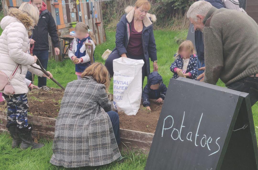 A photo of a group of all ages planting potatoes in an vegetable patch