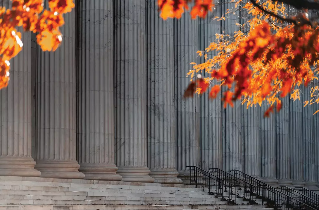 A photo shows the large pillars of a building surrounded by autumn leaves.