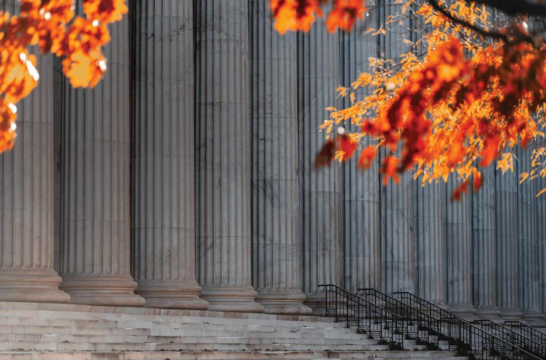 A photo shows the large pillars of a building surrounded by autumn leaves.