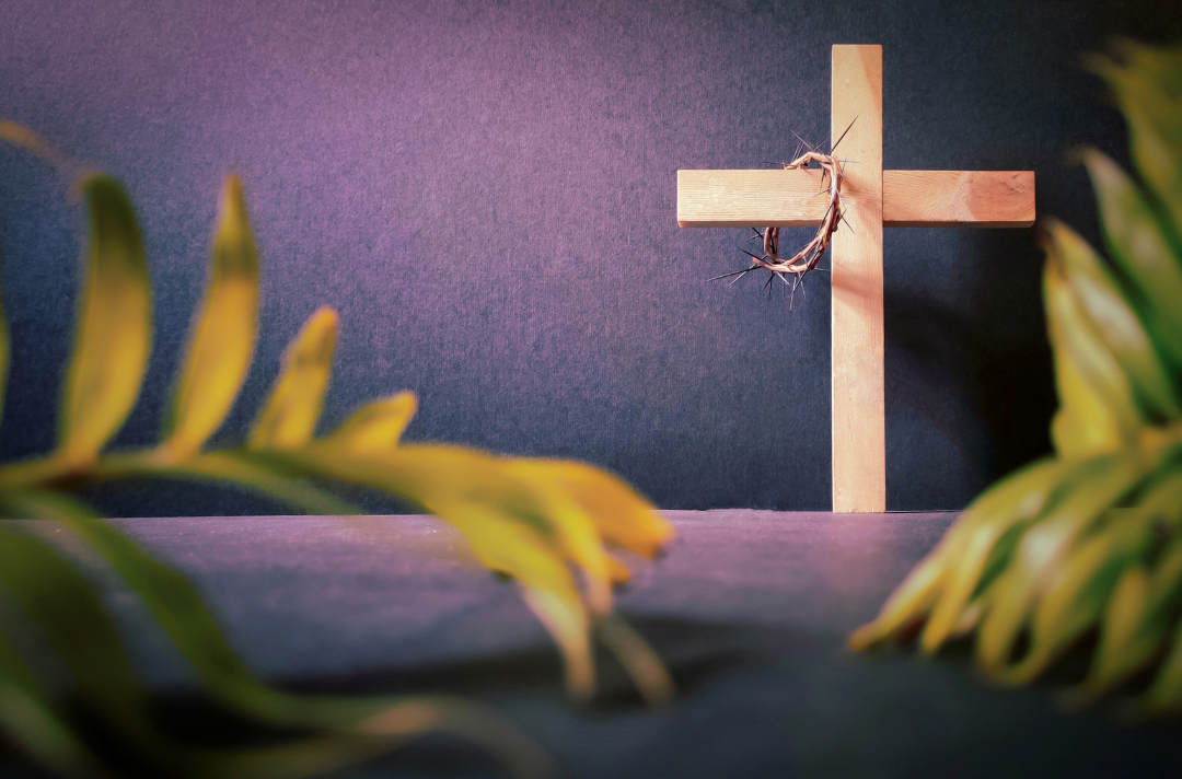 A photo shows a wooden cross against a purple background. Hanging from the cross is a crown of thorns. Palm leave frame the image, out of focus in the foreground.