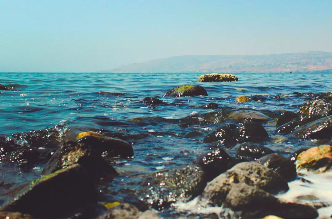 A close-up photo shows rocks at the edge of the sea.