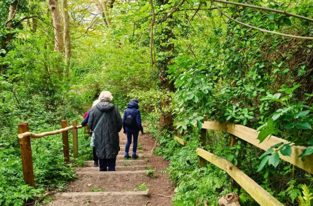 A photo shows some people walking down a path in a luscious green forest.