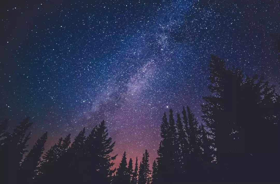 A photo of the night sky and a woodland