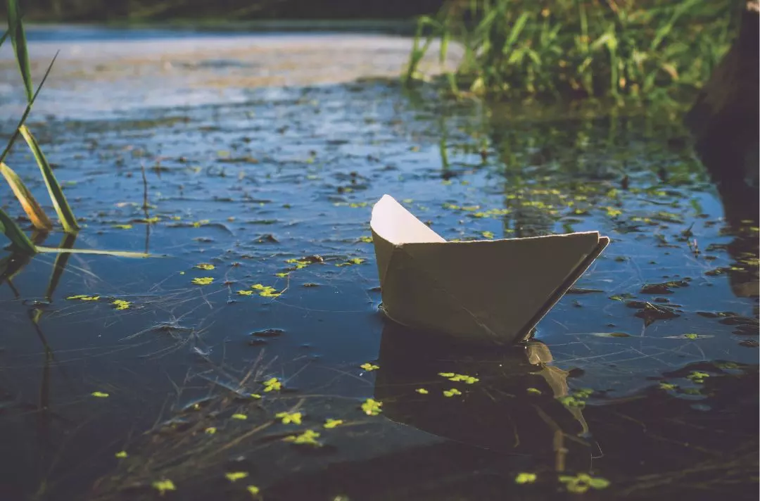 A paper boat on pond water
