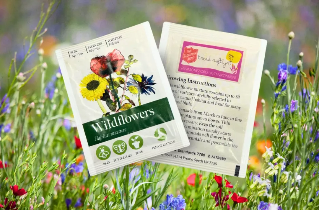 A graphic showing the front and back of a pack of wildflower seeds.