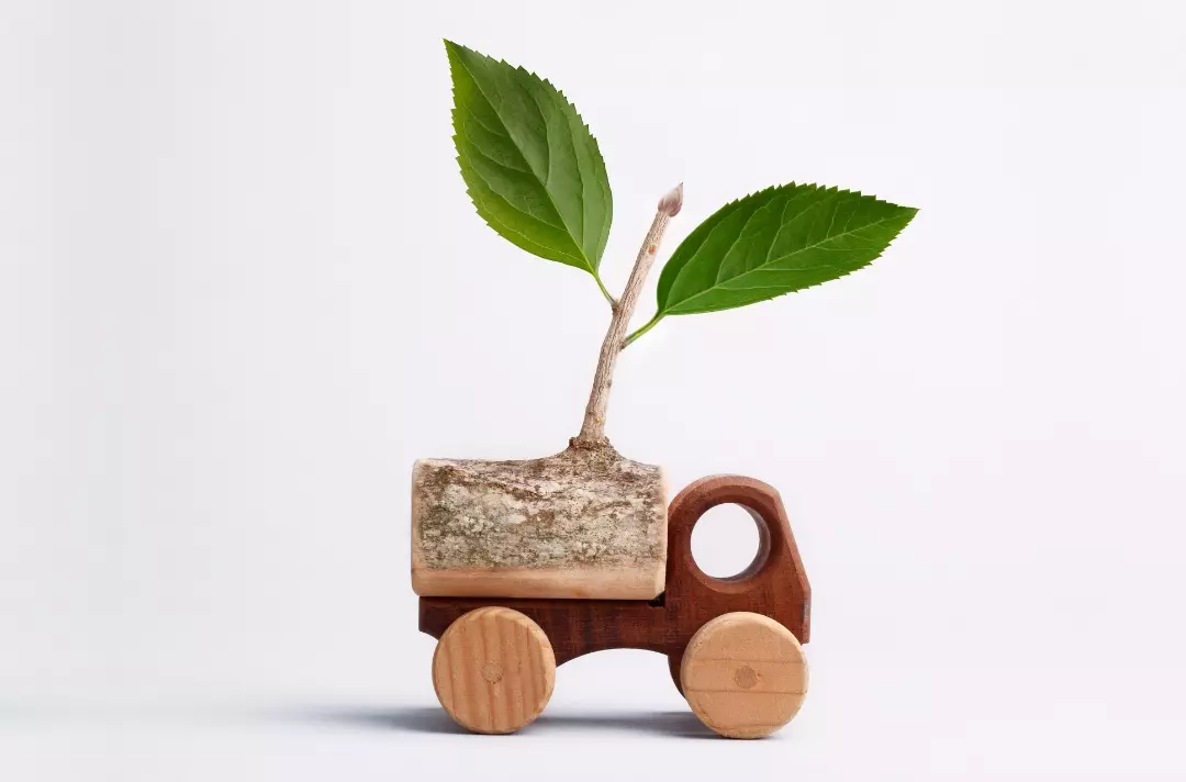 A photo shows a small plant growing on the back of a wooden truck toy.