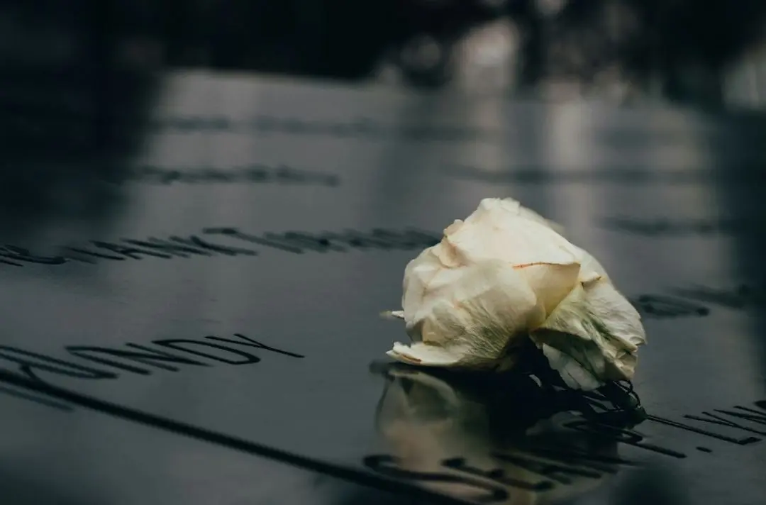 A white flower on a black marble tombstone.