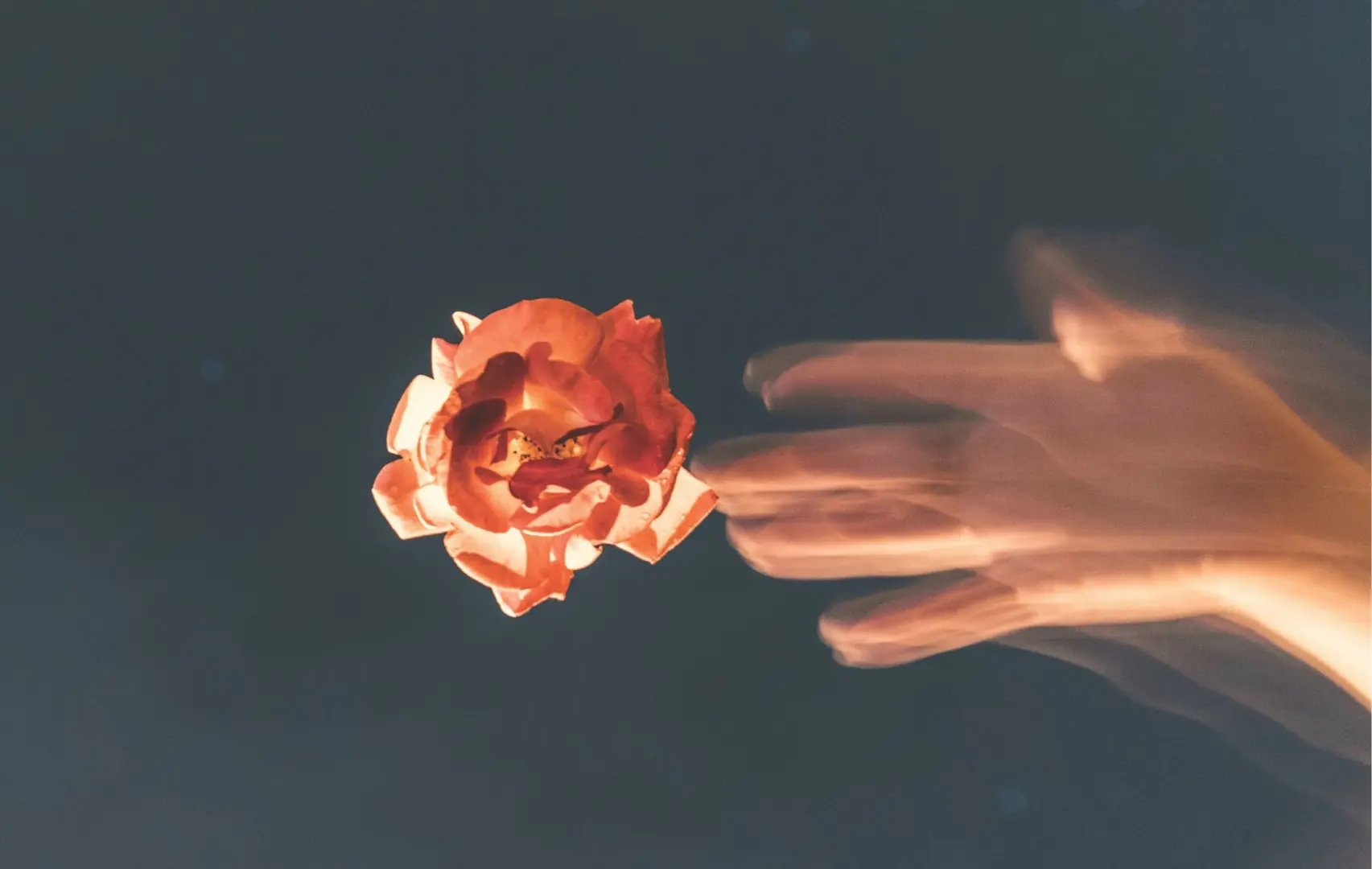 A hand reaching out for a flower.