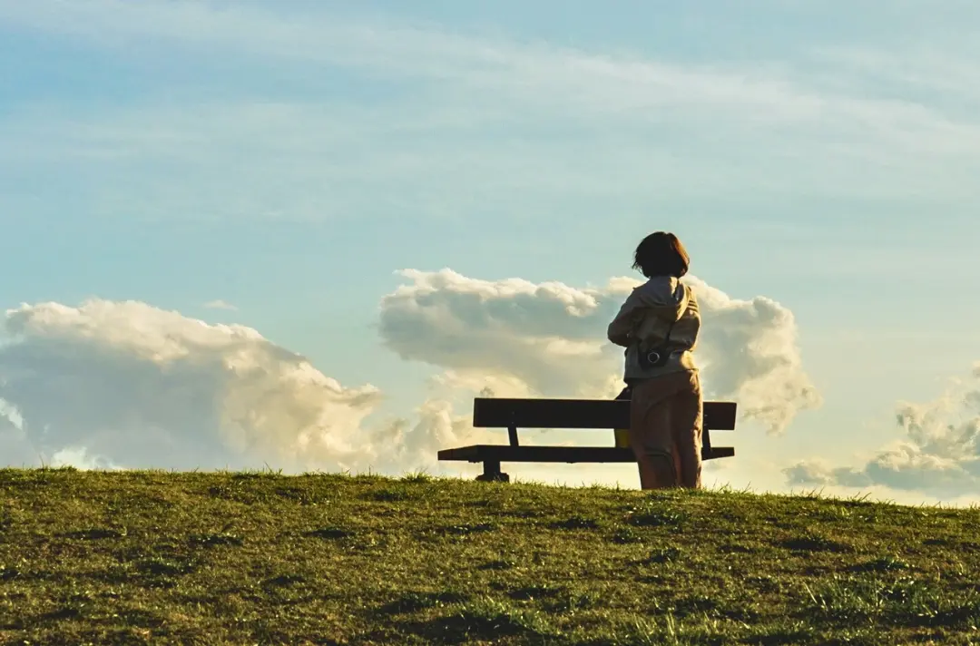 A photo shows someone standing on a hill and looking towards the sky.