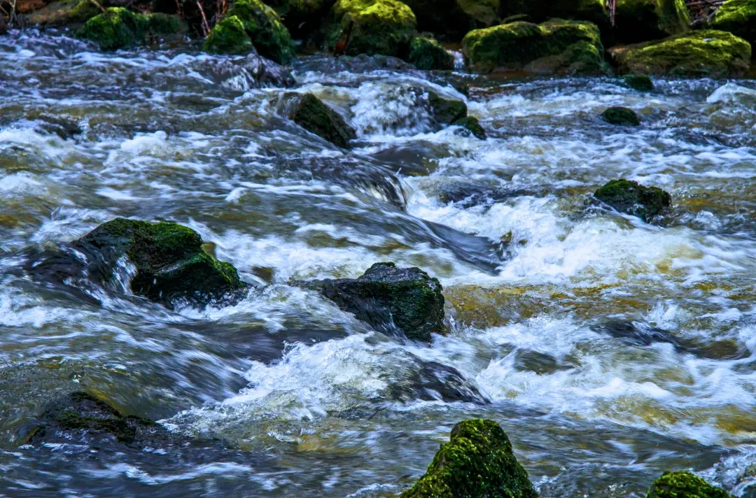 A photo shows a flowing river.