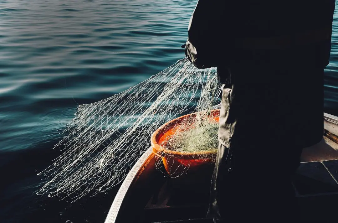 A man fishes with a net upon a boat.