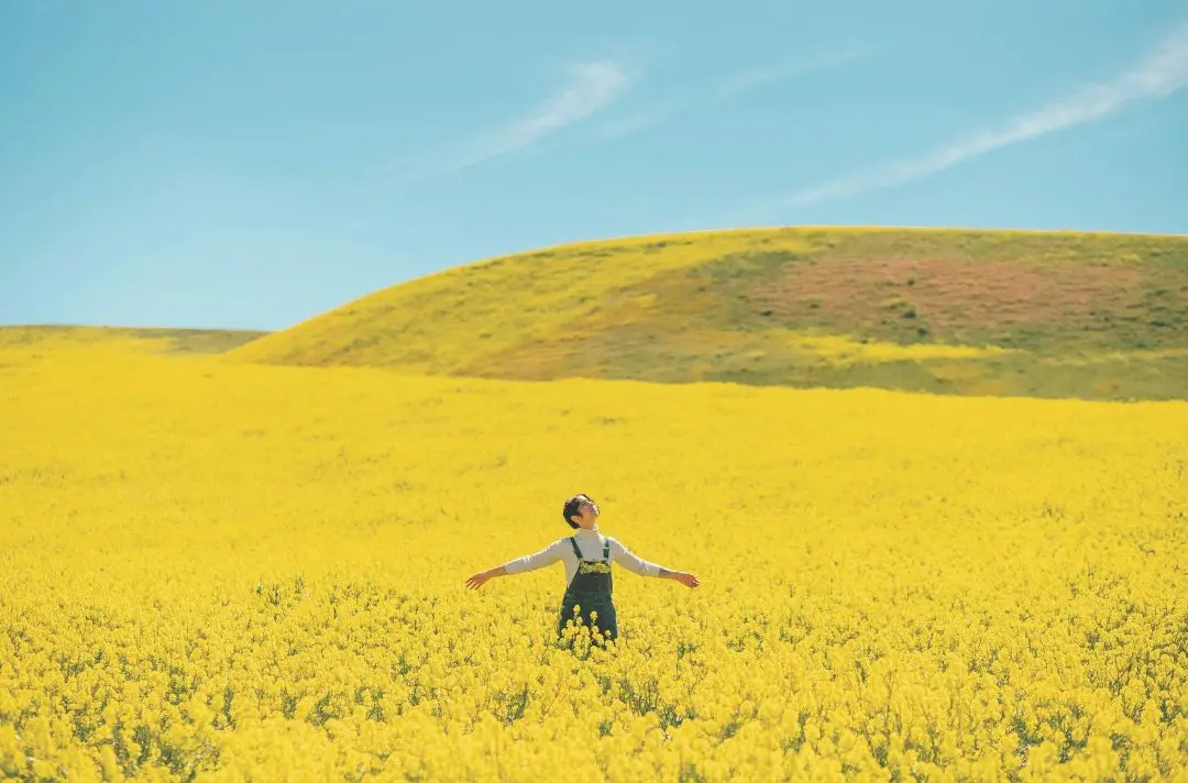 A woman stands in a field of yellow flowers embracing the sunshine.