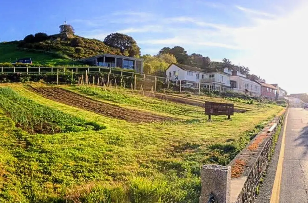 A photo shows beautiful sun shining over green space in Jersey.
