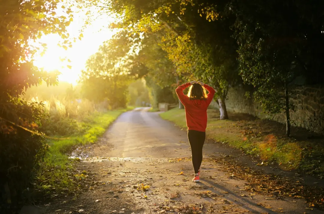 A photo shows someone at golden hour walking down a path surrounded by trees.
