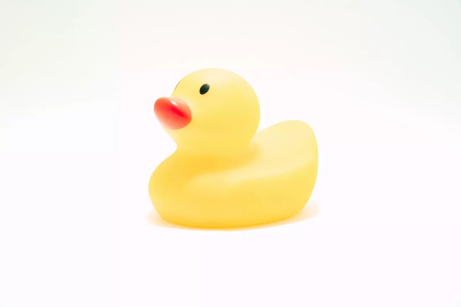 Yellow Duck