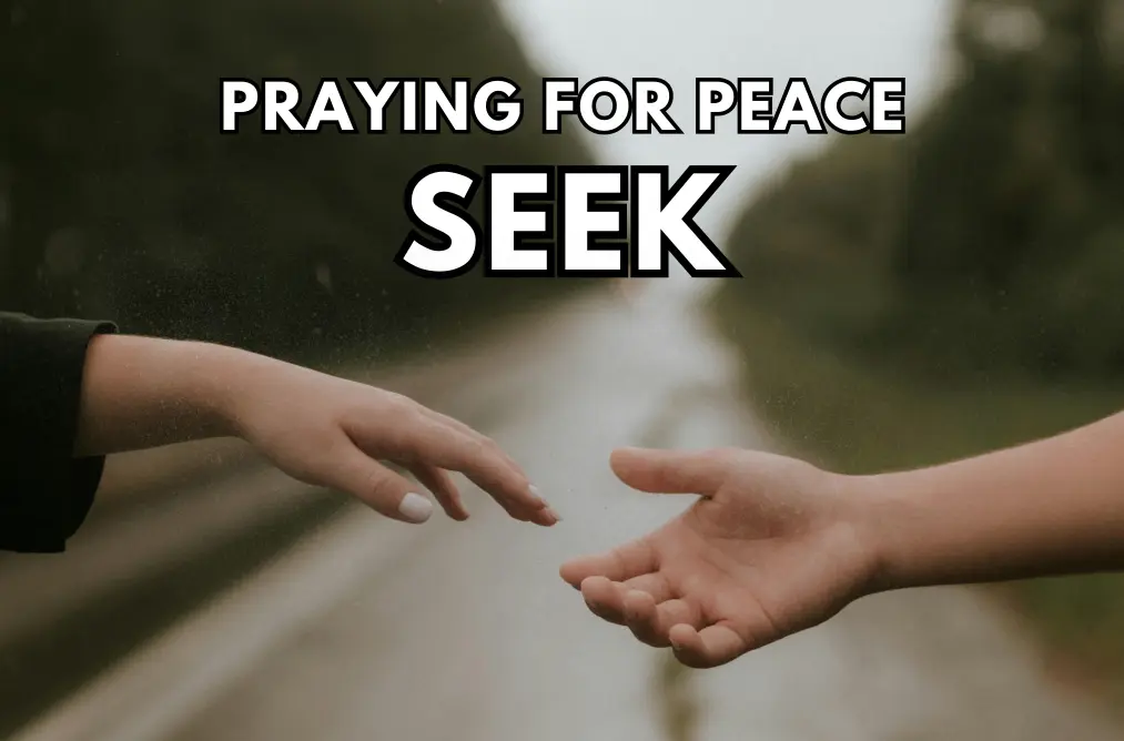 a photo of two hands reaching out to each other and the word 'seek'