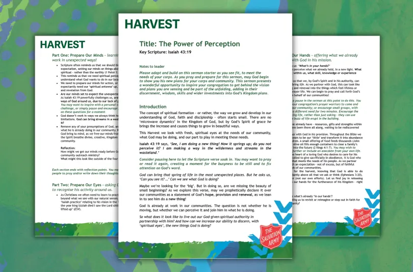 Green and blue camouflage with document preview 